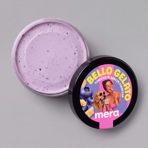 Bello Gelato Hundeeis Blaubeer-Parmesan – Blick auf das Eis im Becher